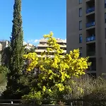 شقة Le Torri